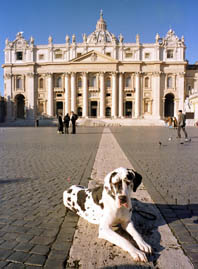 Bianca auf dem Petersplatz in Rom