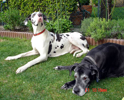 Gina und Claire vom Gehrensee