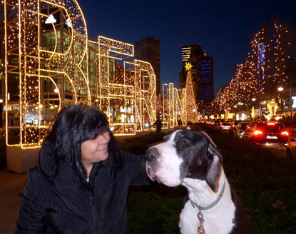 Dogge im Zentrum von Berlin