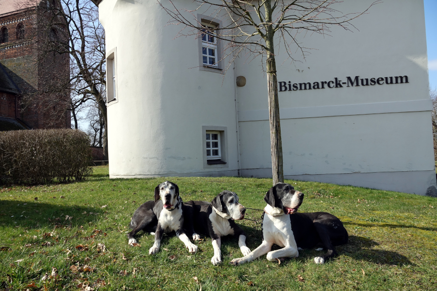Otto von Bismarck - Schoenhausen - Geburtsort - 3 Doggen vor dem Geburtshaus