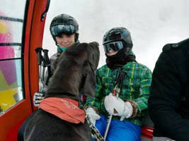 Doggetreffen Deutsche Doggen Gehrensee