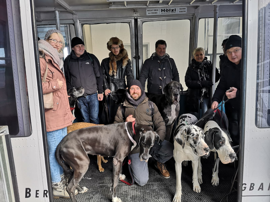 In der Tegelbergbahn/Schwangau Deutsche Doggen in der Tegelbergbahn