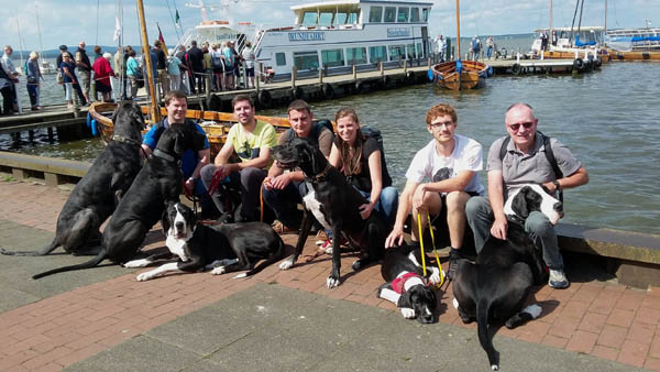 Doggentreffen Deutsche Doggen Gehrensee