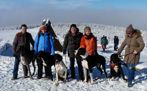 Doggetreffen Deutsche Doggen Gehrensee