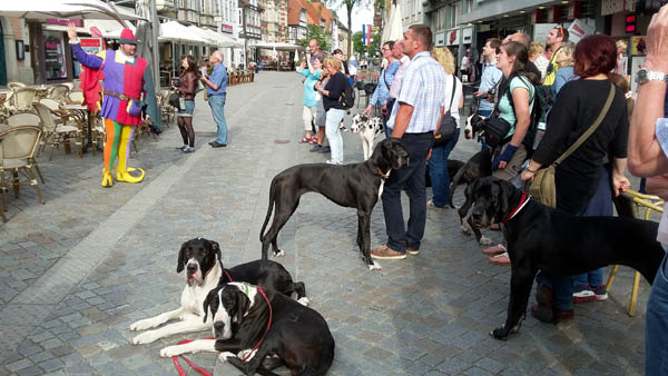 Treffen Deutsche Doggen Gehrensee