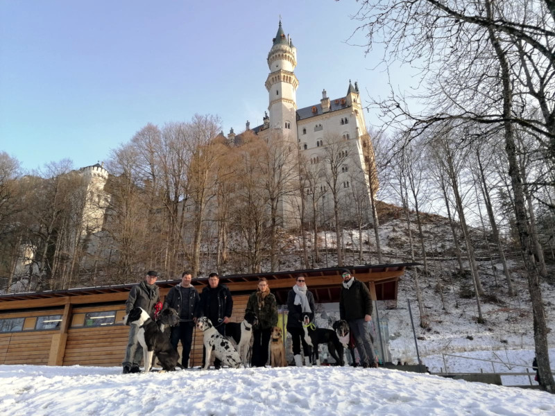 Doggentreffen_Neuschwanstein