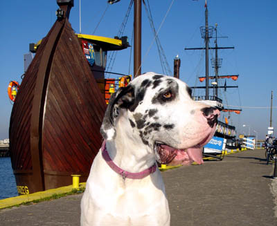 Gina im Hafen von Kolobrzeg