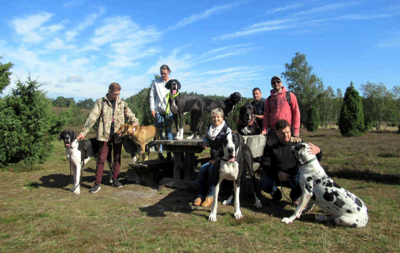 Rastplatz inder Heide