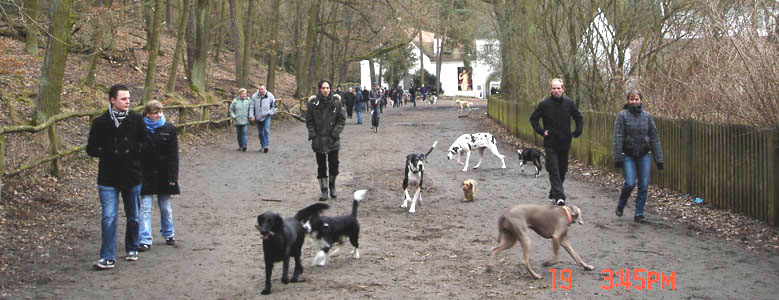 Auf dem Grunewaldsee im Februar 2012