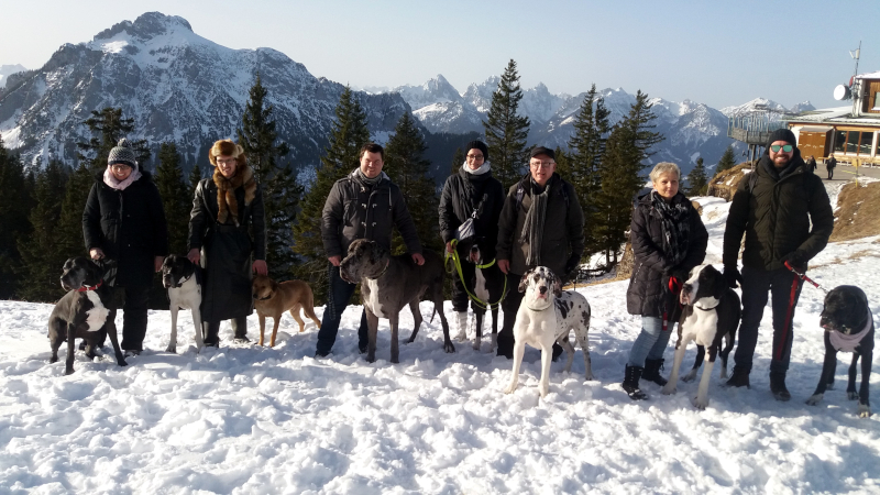Deutsche Doggen Tegelberg
