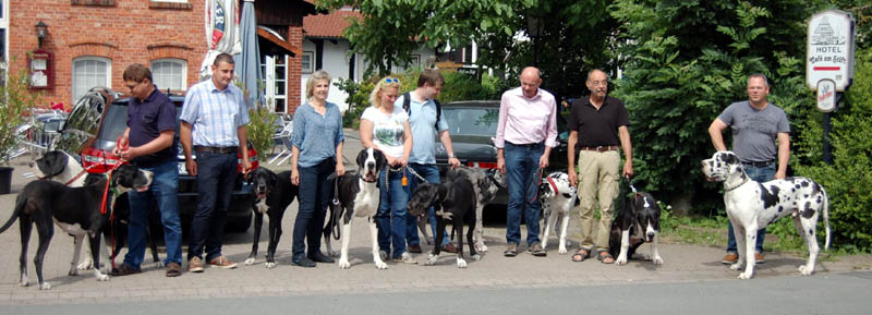 Treffen Deutsche Doggen Gehrensee